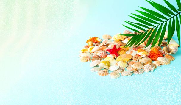 Cáscaras de mar y hojas de palma sobre fondo azul. Hora de verano o hola verano. Espacio de copia creativa, primer plano
 - Foto, Imagen