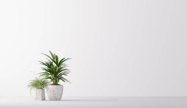 白い背景に隔離されたポットに植物。最小限の観葉植物の家の装飾、 3Dレンダリング - 写真・画像