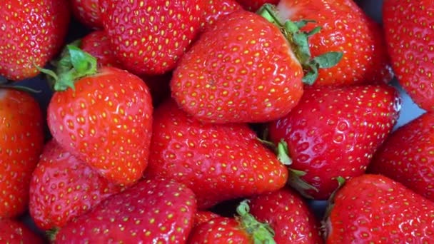 fraises rouges mûres tourne gros plan - Séquence, vidéo