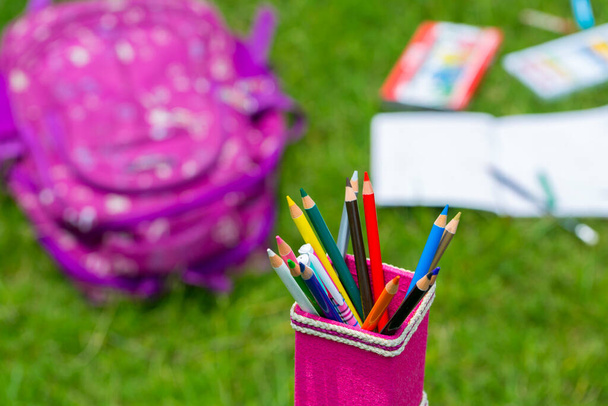 Porta lápices Banana Fiber rosa con lápices multicolores. Libros, cuadernos, bolsas de la escuela se pueden ver fuera de foco en la hierba
. - Foto, Imagen