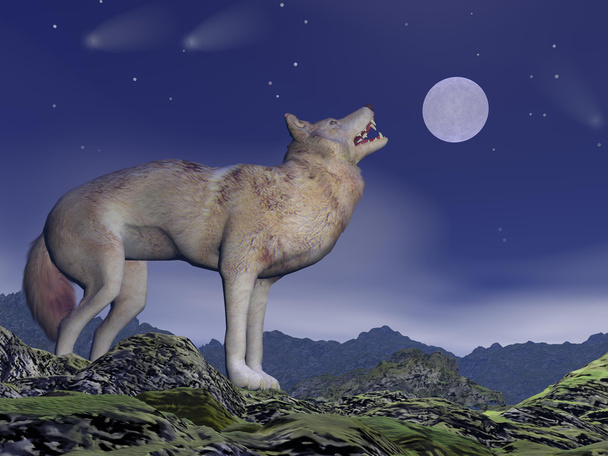 Howling wolf - 3D render - Photo, Image
