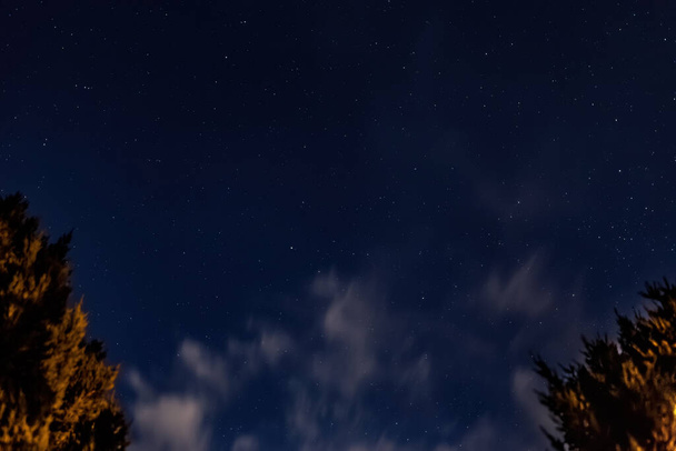 星、白い移動雲や木々と青空。上を見て下からの眺め - 写真・画像