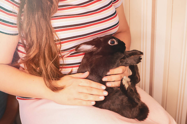 Черный испуганный кролик привыкает к рукам. - Фото, изображение