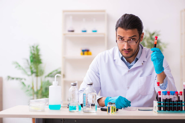 Young male chemist working in the lab - Photo, Image