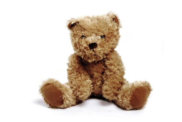 Single brown teddy - Photo, Image
