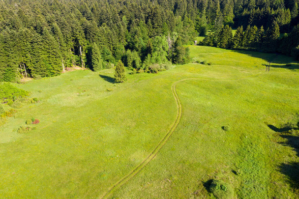 森に囲まれた草原の空中景色、中央の道、クロアチアのRisnjak国立公園 - 写真・画像