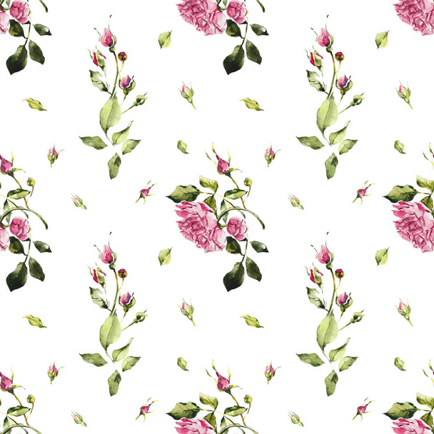 Roses seamless. Rosebush. Pattern from pink rose. Wedding drawings. White background. Watercolor hand drawn illustration. - 写真・画像