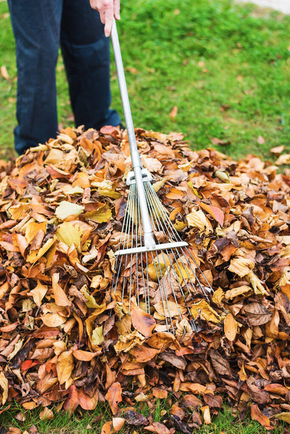 Uomo pulizia caduto autunno foglie nel cortile - Foto, immagini