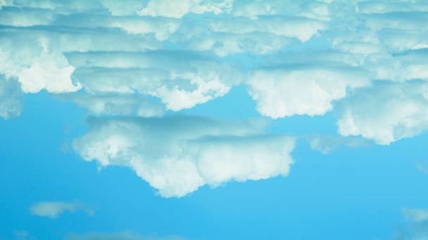 夏の青空に浮かぶ大きな雲 - 写真・画像