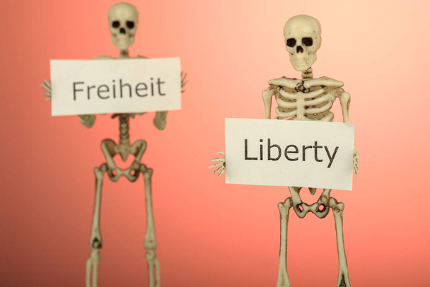w rękach szkieletów znajdują się napisy po niemiecku - wolność i po angielsku. wolność w żadnym języku nie umrze - Zdjęcie, obraz