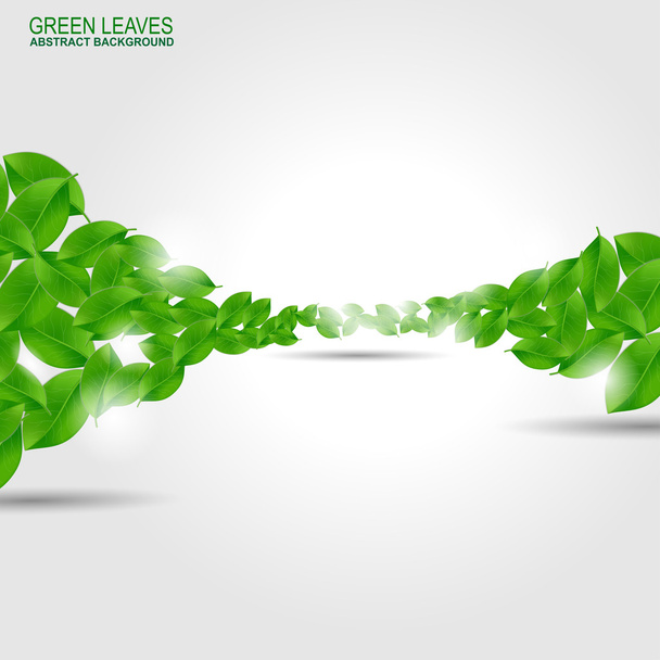 Background with fresh green leaves - Vector, Image