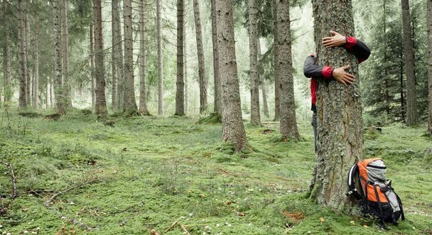 un hombre abrazando un árbol en el bosque
 - Foto, imagen