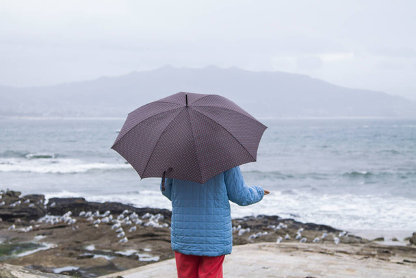 woman with umbrella walking along the coast - Fotó, kép