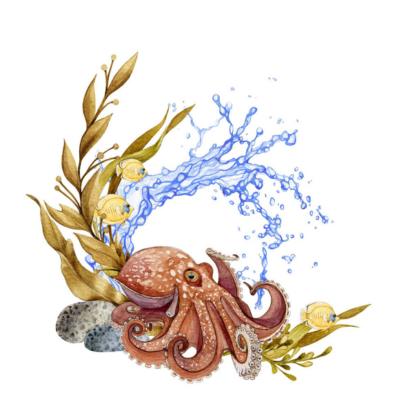 水スプラッシュと海藻水彩イラストとタコ。美しい水中の海の生き物の配置。手は白い背景に隔離されたカラフルな水生動物の装飾を描きました - 写真・画像