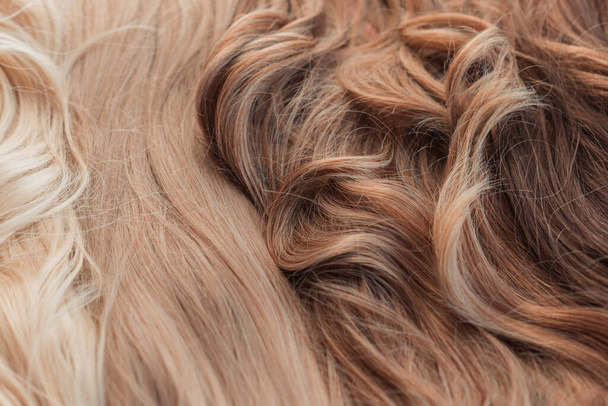 Perücken, natürliche und syntetische Haare. Schönheitskonzept für Frauen - Foto, Bild