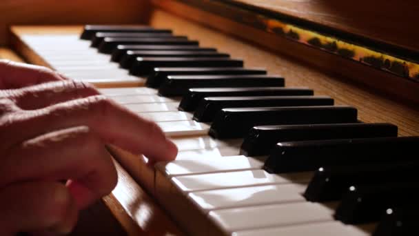 バックライトでピアノを弾く男のクローズアップ映像 - 映像、動画