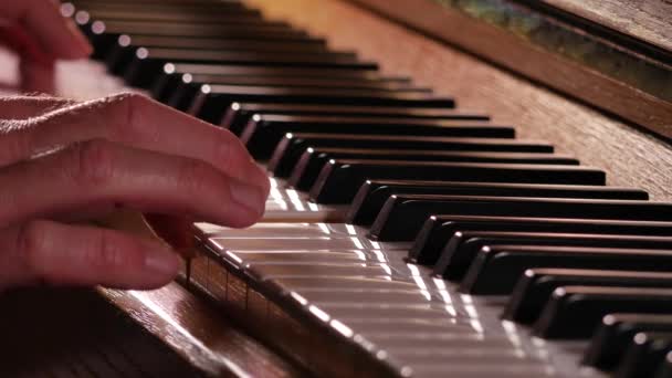 バックライトでピアノを弾く男のクローズアップ映像 - 映像、動画