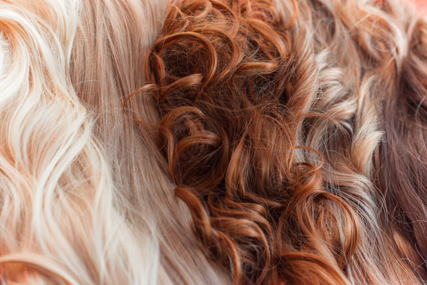 Peruklar, doğal ve sentetik saçlar. Kadınların güzellik anlayışı - Fotoğraf, Görsel
