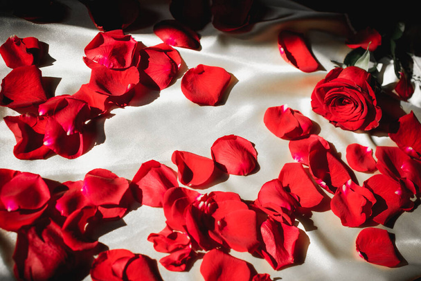 Red rose on white silk - Foto, Imagem