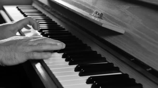 κοντινό πλάνο του ανθρώπου που παίζει πιάνο με backlight - Πλάνα, βίντεο