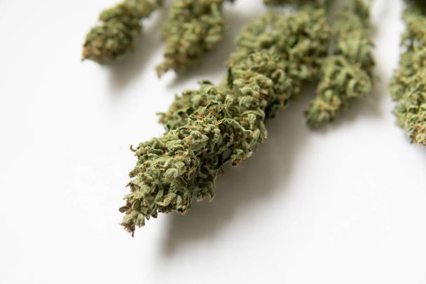 Erba CBD THC. Un bouquet di cime di cannabis secche. Marijuana da vicino. Sfondo bianco. Pentola medica naturale. - Foto, immagini