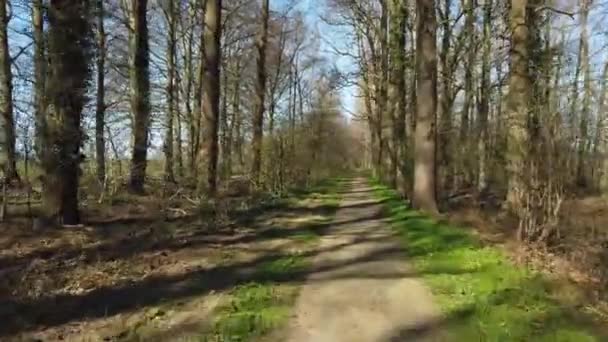 POV Orman yolunda bisiklet sürüyor - Video, Çekim
