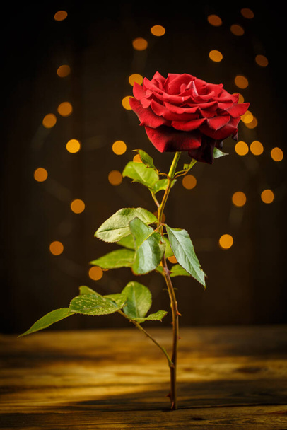 Red rose on a wooden brown background in vintage style with beautiful bokeh - Photo, image