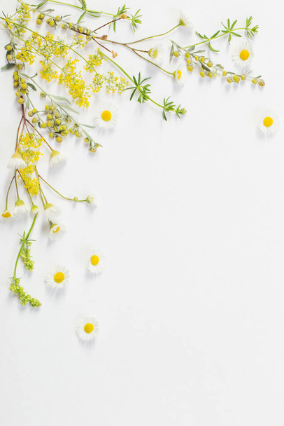 wildflowers on white paper background - Foto, Bild
