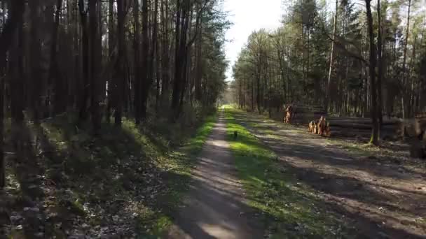 POV Ciclismo por estrada florestal - Filmagem, Vídeo