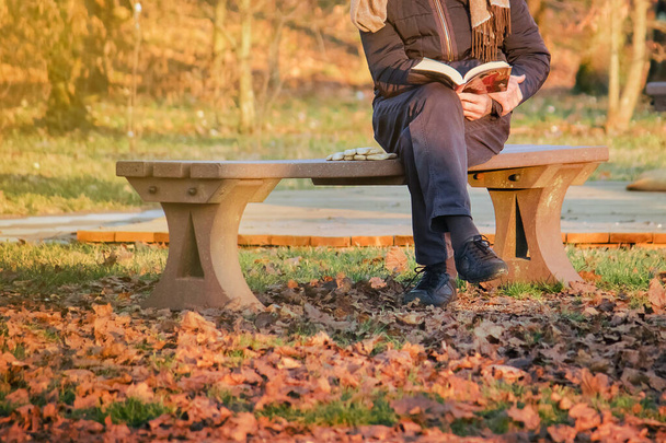 czytanie książki na zewnątrz, czas wolny dla seniorów, którzy siedzą na ławce w upadłym sezonie - Zdjęcie, obraz