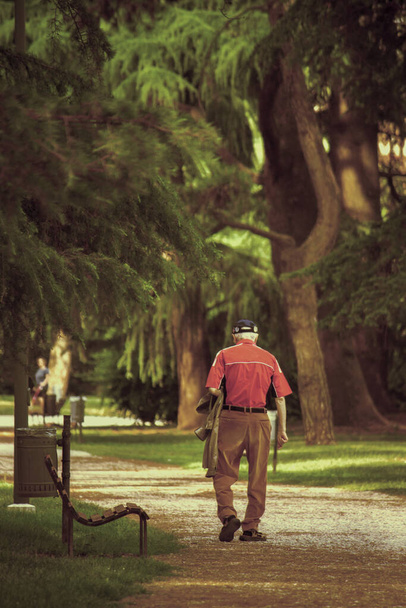Yaşlı yürüyüşü, parkta yalnız büyükbaba. - Fotoğraf, Görsel