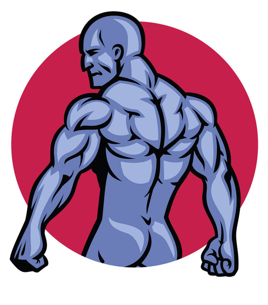 Muskelaufbau Rückenlage - Vektor, Bild