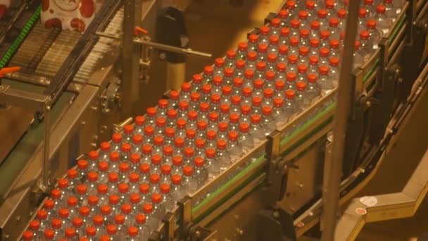 garrafas de plástico em uma linha de montagem em uma fábrica de água potável - Filmagem, Vídeo