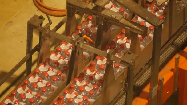 garrafas de plástico em uma linha de montagem em uma fábrica de água potável - Filmagem, Vídeo