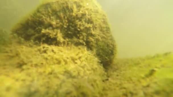 Nahaufnahme von Unterwasseraufnahmen von Kieselsteinen auf dem Grund des Gebirgsflusses - Filmmaterial, Video