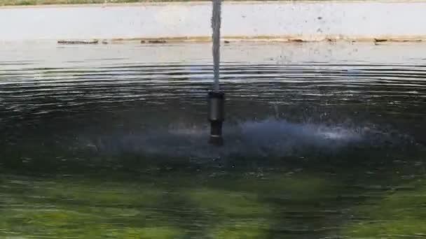 Woda posypać jest bardzo świeże w ogrodnictwie - Materiał filmowy, wideo