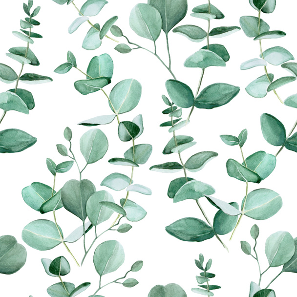 Бесшовный узор с акварельными листьями эвкалипта на белом фоне. Винтажный узор с тропическими листьями. Готовый дизайн для ткани, обоев, обертки, текстиля
. - Фото, изображение
