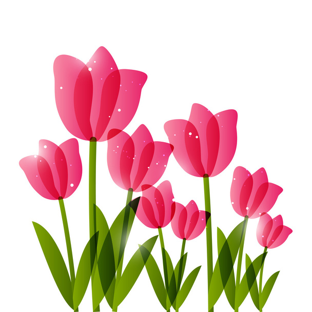 różowe tulipany do projektowania - Wektor, obraz