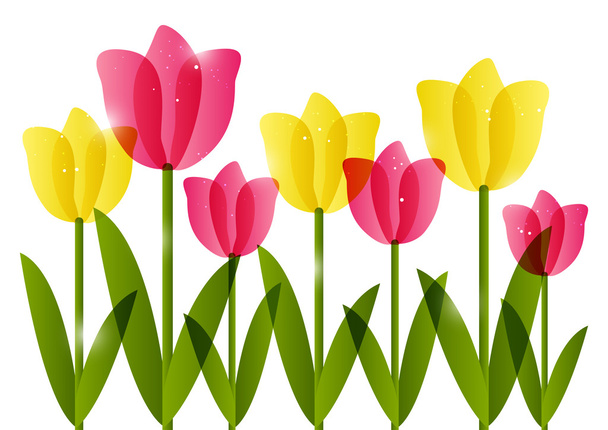 Pink and yellow tulips - Vector, afbeelding