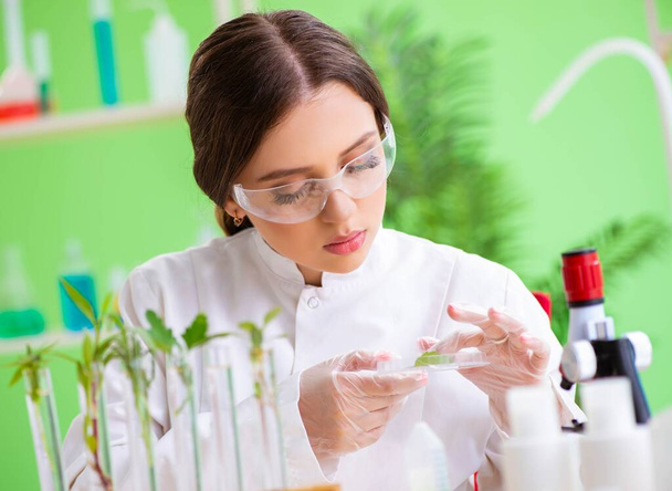 Gyönyörű női biotechnológia tudós vegyész dolgozik laborban - Fotó, kép