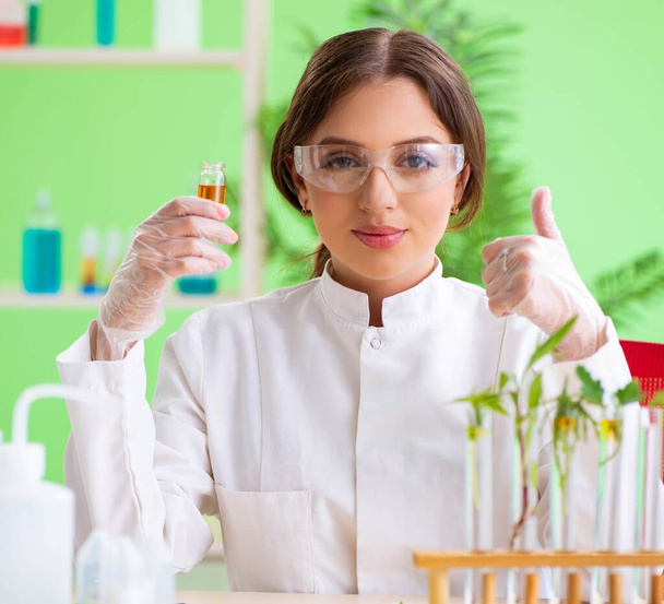 Beautiful female biotechnology scientist chemist working in lab - Valokuva, kuva