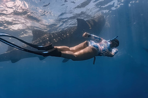 Mujer joven en un traje de baño sexy buceando bajo el agua con una ballena hark. La observación de ballenas es una famosa atracción turística en Oslob, Cebú, Filipinas
. - Foto, Imagen