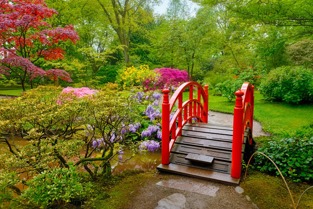 Japanilainen puutarha, Park Clingendael, Haag, Alankomaat - Valokuva, kuva