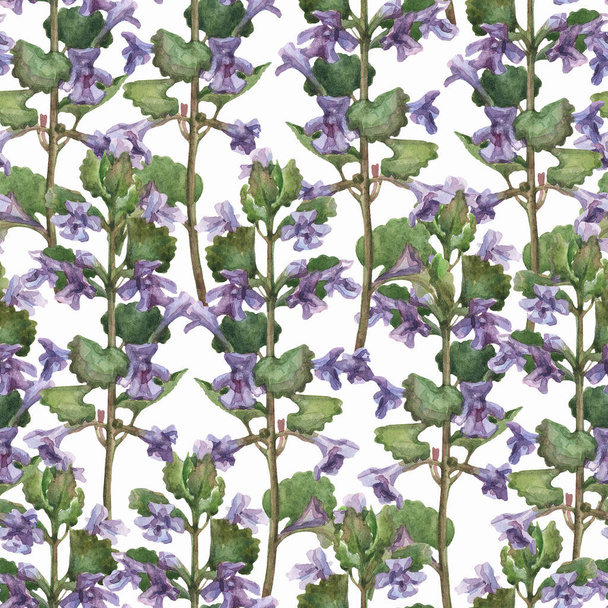 Print for fabric, wallpaper or wrapping paper with small purple flowers on a white background. Seamless floral pattern. Watercolor illustration. - Photo, Image