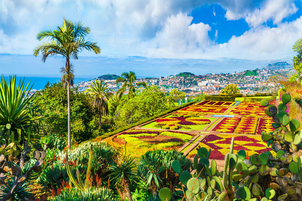 Jardins Botânicos Tropicais no Funchal, capital da ilha da Madeira, Portugal
 - Foto, Imagem