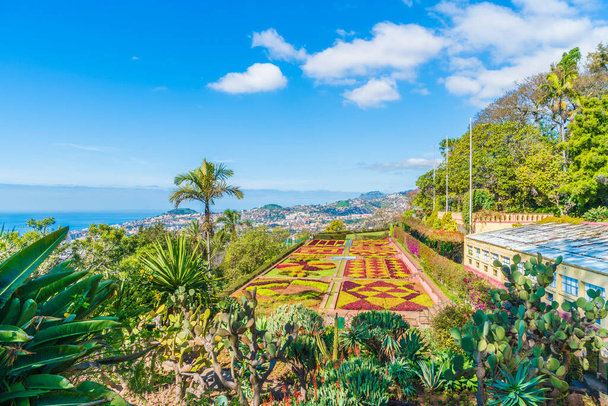 Giardini botanici tropicali a Funchal, capitale dell'isola di Madeira, Portogallo - Foto, immagini
