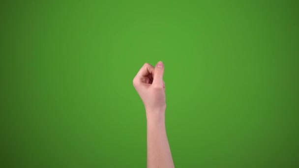 Χέρι δείχνουν στις πλευρές με πτερύγιο, αριστερά και δεξιά, πράσινη οθόνη - Πλάνα, βίντεο