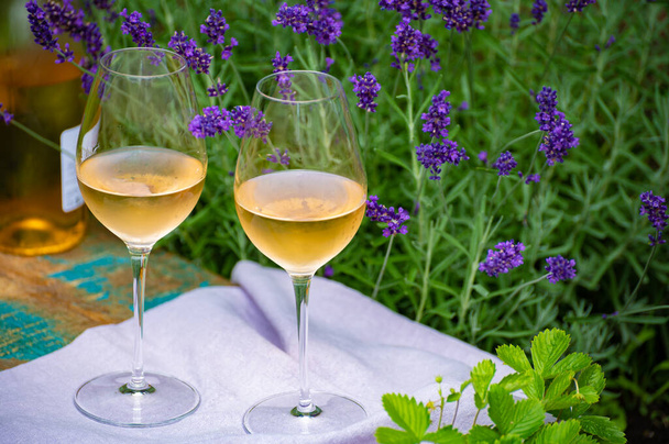 Love Provence, pique-nique romantique avec deux verres de vin de rose français froid et des fleurs de lavande violette dans un jardin d'été ensoleillé - Photo, image