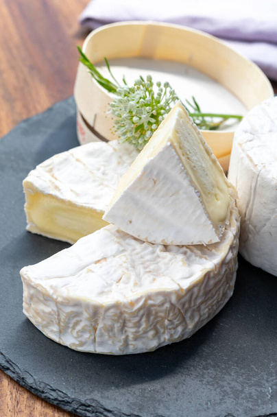 Collection de fromages français, morceaux de camembert et fromage bleu lait de vache Le Bleu à la moisissure blanche, gros plan - Photo, image
