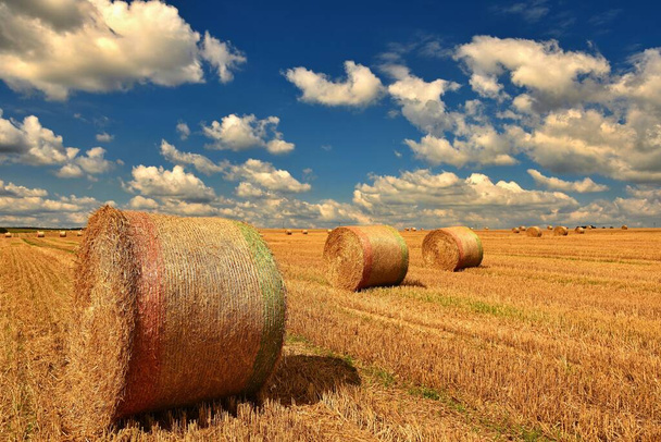 Beautiful countryside landscape. Hay bales in harvested fields.  - Photo, Image